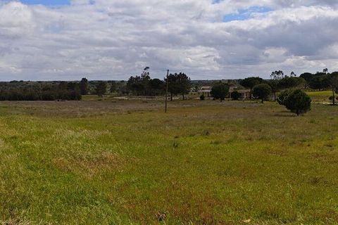 Terreno en Coruche, Santarem, Coruche - € 240.000 | Ref: 140182 - photo 1