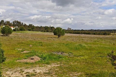 Terreno en Coruche, Santarem, Coruche - € 240.000 | Ref: 140182 - photo 2