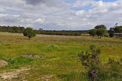 Terreno en Coruche, Santarem, Coruche - € 240.000 | Ref: 140182 - photo 3