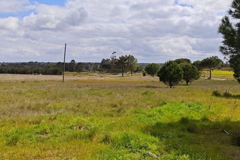 Terreno en Coruche, Santarem, Coruche - € 240.000 | Ref: 140182 - photo 4
