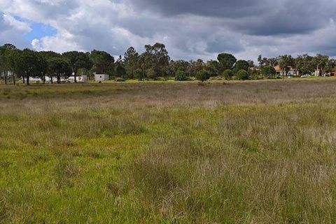 Terreno en Coruche, Santarem, Coruche - € 240.000 | Ref: 140182 - photo 5