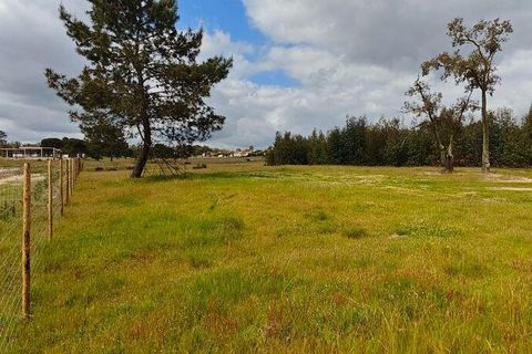 Terreno en Coruche, Santarem, Coruche - € 240.000 | Ref: 140182 - photo 6