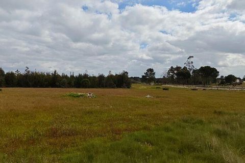 Terreno en Coruche, Santarem, Coruche - € 240.000 | Ref: 140182 - photo 8