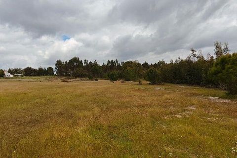 Terreno en Coruche, Santarem, Coruche - € 240.000 | Ref: 140182 - photo 10