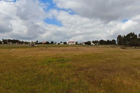 Terreno en Coruche, Santarem, Coruche - € 240.000 | Ref: 140182 - photo 12