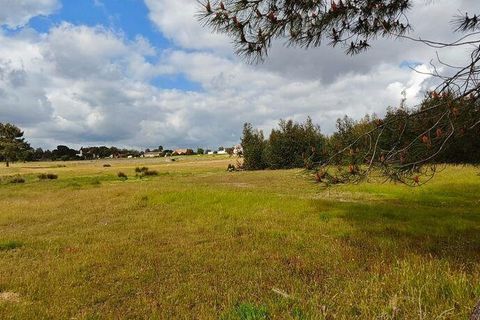 Terreno en Coruche, Santarem, Coruche - € 240.000 | Ref: 140182 - photo 13