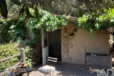 Helårsgrund i Odemira, Beja, Odemira - € 287.000 | Ref: 955504 - foto 22