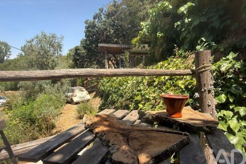 Helårsgrund i Odemira, Beja, Odemira - € 287.000 | Ref: 955504 - foto 23