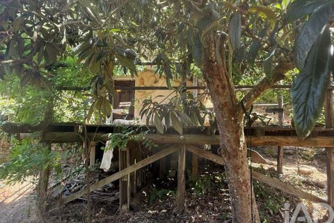 Helårsgrund i Odemira, Beja, Odemira - € 287.000 | Ref: 955504 - foto 27