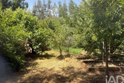 Helårsgrund i Odemira, Beja, Odemira - € 287.000 | Ref: 955504 - foto 33