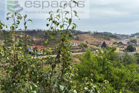 Villa em Silvares, Castelo Branco, Silvares - € 45.000 | Ref: 5565/CP_AF - foto 23