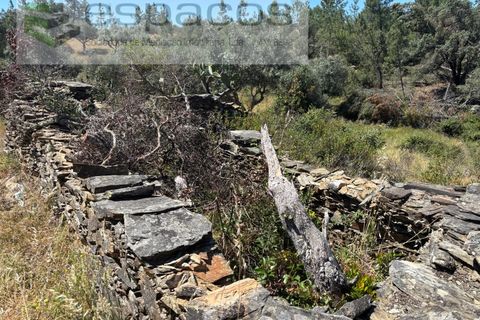 Grond in Castelo Branco, Castelo Branco, Castelo Branco - € 6.000 | Ref: 5561/AC-FA - foto 1