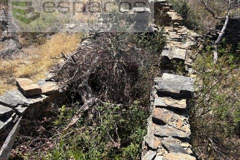 Grond in Castelo Branco, Castelo Branco, Castelo Branco - € 6.000 | Ref: 5561/AC-FA - foto 2