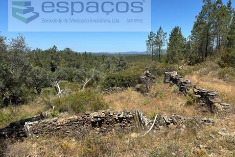 Grond in Castelo Branco, Castelo Branco, Castelo Branco - € 6.000 | Ref: 5561/AC-FA - foto 3