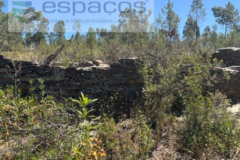Grond in Castelo Branco, Castelo Branco, Castelo Branco - € 6.000 | Ref: 5561/AC-FA - foto 4