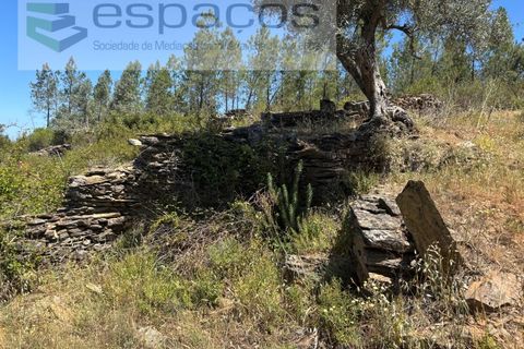 Grond in Castelo Branco, Castelo Branco, Castelo Branco - € 6.000 | Ref: 5561/AC-FA - foto 5