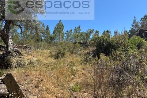 Grond in Castelo Branco, Castelo Branco, Castelo Branco - € 6.000 | Ref: 5561/AC-FA - foto 6