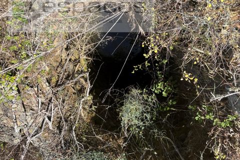 Grond in Castelo Branco, Castelo Branco, Castelo Branco - € 6.000 | Ref: 5561/AC-FA - foto 8