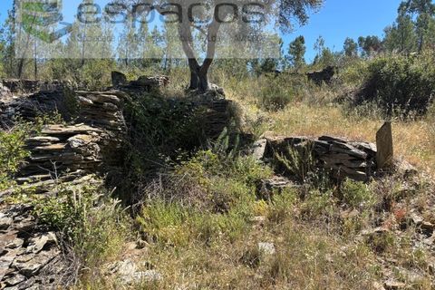 Grond in Castelo Branco, Castelo Branco, Castelo Branco - € 6.000 | Ref: 5561/AC-FA - foto 9