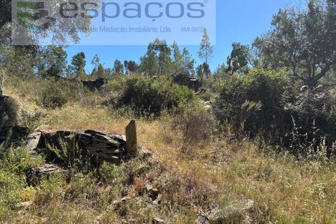 Grond in Castelo Branco, Castelo Branco, Castelo Branco - € 6.000 | Ref: 5561/AC-FA - foto 10