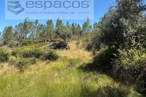 Grond in Castelo Branco, Castelo Branco, Castelo Branco - € 6.000 | Ref: 5561/AC-FA - foto 11