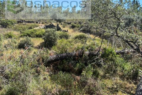Grond in Castelo Branco, Castelo Branco, Castelo Branco - € 6.000 | Ref: 5561/AC-FA - foto 13