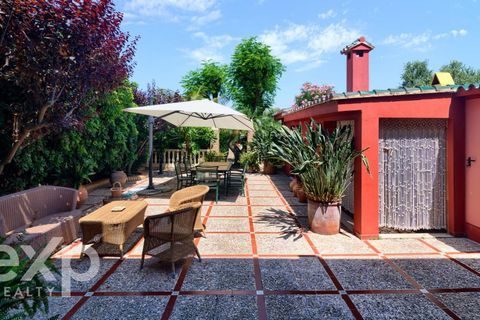 Villa i Burriana, Castellon, Burriana - € 1 300 000 | Ref: EXP14902/8930 - foto 43