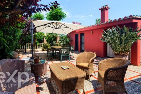 Villa i Burriana, Castellon, Burriana - € 1 300 000 | Ref: EXP14902/8930 - foto 44