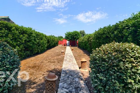 Villa i Burriana, Castellon, Burriana - € 1 300 000 | Ref: EXP14902/8930 - foto 50