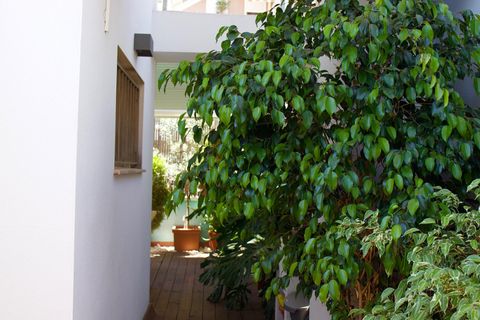 Rækkehus i Reus, Tarragona, Reus - € 435.000 | Ref: EXP14899/8930 - foto 14