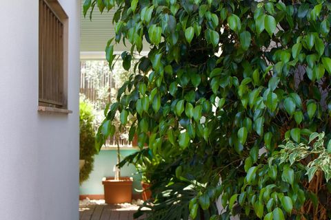 Rækkehus i Reus, Tarragona, Reus - € 435.000 | Ref: EXP14899/8930 - foto 16