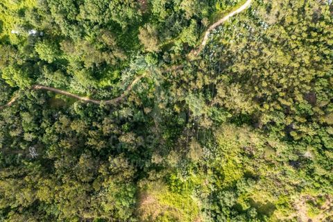 Grond in Mafra, Lisbon, Mafra - € 19.000 | Ref: V26191 - foto 4