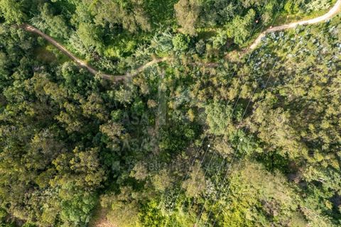 Grond in Mafra, Lisbon, Mafra - € 19.000 | Ref: V26191 - foto 5
