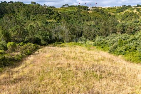 Grond in Mafra, Lisbon, Mafra - € 19.000 | Ref: V26191 - foto 10