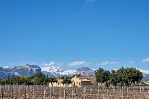 Landejendom i Sencelles, Mallorca, Sencelles - € 2.300.000 | Ref: SCHS1118Q - foto 6