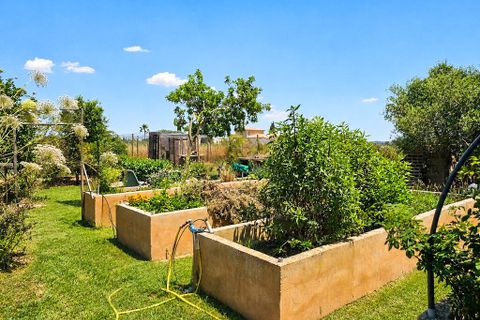 Landejendom i Sencelles, Mallorca, Sencelles - € 2.300.000 | Ref: SCHS1118Q - foto 22
