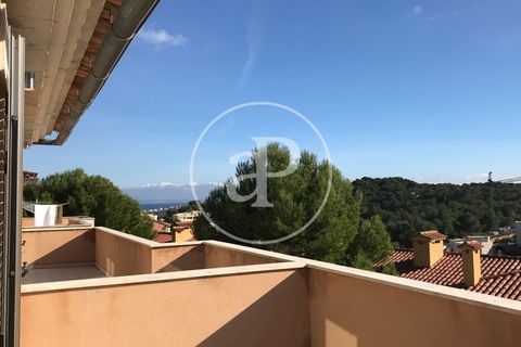 Villa a Calvia, Mallorca, Calvia - € 4.400/mes | Ref: APM2606019 - foto 39
