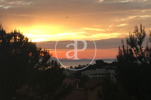 Villa a Calvia, Mallorca, Calvia - € 4.400/mes | Ref: APM2606019 - foto 40