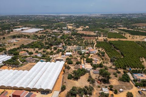 Farm hus i Olhao, Faro, Olhao - € 198.000 | Ref: JF-432 - foto 4