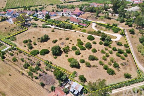 Farm i Alenquer, Lisbon, Alenquer - € 595.000 | Ref: 958557 - foto 3