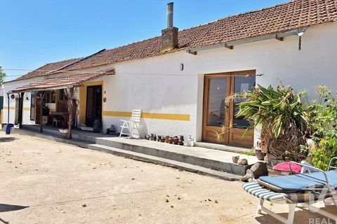 Farm i Alenquer, Lisbon, Alenquer - € 595.000 | Ref: 958557 - foto 12