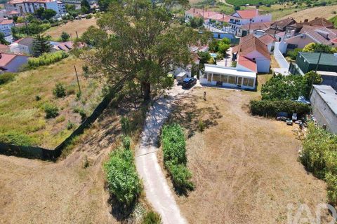 Farm i Alenquer, Lisbon, Alenquer - € 595.000 | Ref: 958557 - foto 38