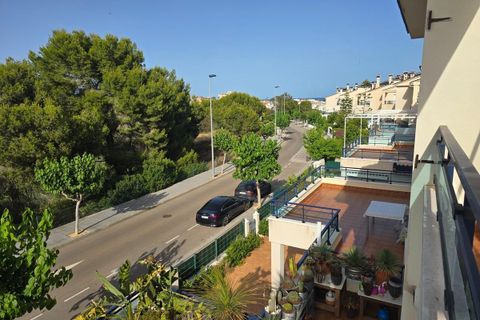 Penthouse in Pilar de la Horadada, Alicante - Foto 5