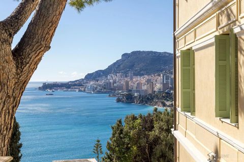 Villa i Roquebrune-Cap-Martin, Alpes-Maritimes, Roquebrune-Cap-Martin - € 16.500.000 | Ref: HH-16009493 - foto 18