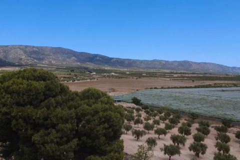 Finca en Lel, Alicante, Lel - € 149.995 | Ref: MLS18806T - photo 5