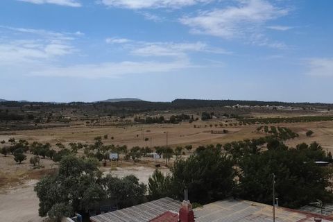 Finca en Lel, Alicante, Lel - € 149.995 | Ref: MLS18806T - photo 7