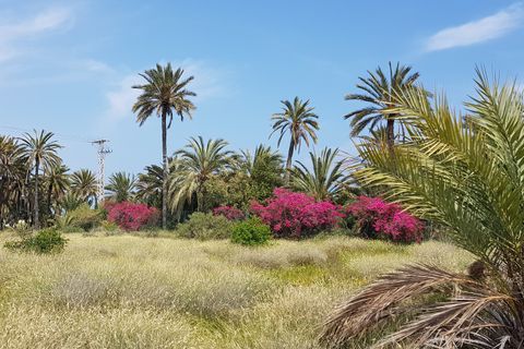 Bungalow i El Chaparral, Alicante, El Chaparral - € 119 850 | Ref: 57J110158 - foto 4