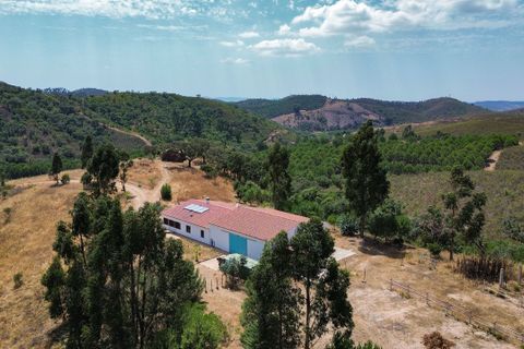 Gårdshus i Beja, Beja, Beja - € 950 000 | Ref: VRRE122 - foto 26