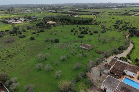 Helårsgrund i Carvoeiro, Faro, Carvoeiro - € 595.000 | Ref: PL57965-1 - foto 11