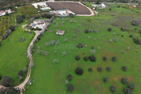 Helårsgrund i Carvoeiro, Faro, Carvoeiro - € 595.000 | Ref: PL57965-1 - foto 12